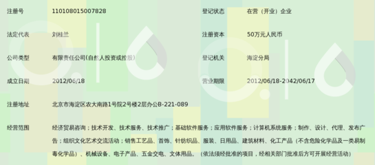 北京天諾德咨詢 計算機軟件咨詢領域的專業領航者